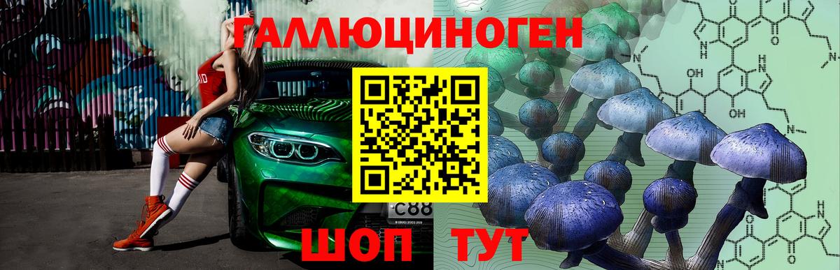 Псилоцибиновые грибы прущие грибы  Вход с VPN  Орехово-Зуево 